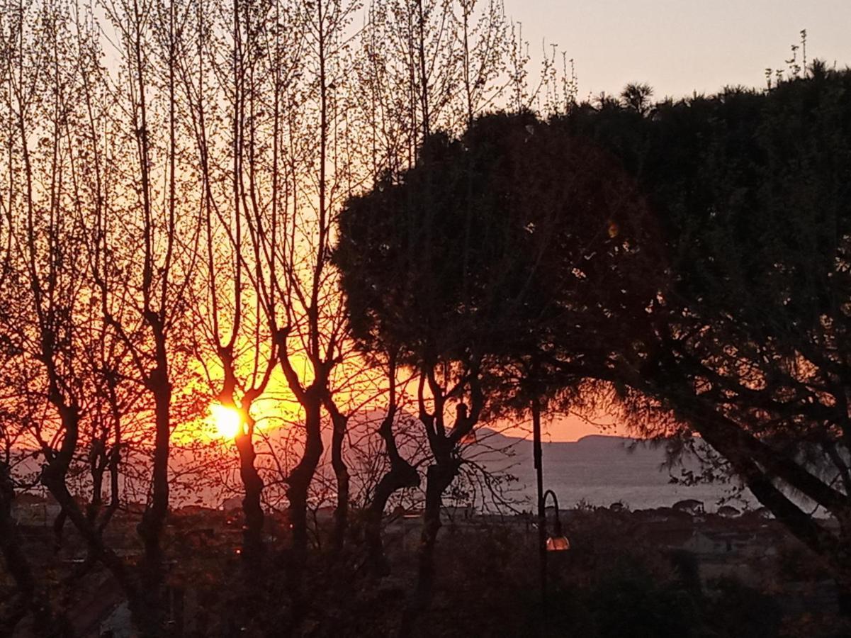 Il Platano Bed & Breakfast Piano di Sorrento Exterior photo